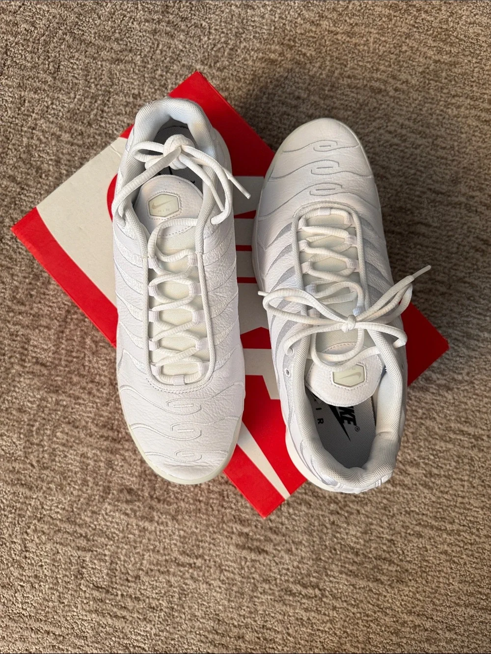Nike Max Plus